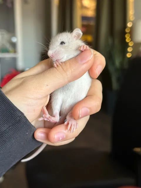 Small palate cleanser for your feed ♥️