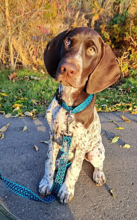 My boy Albert, at 3 months