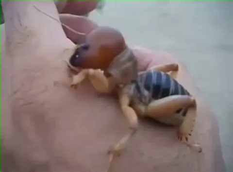 Seems friendly enough?