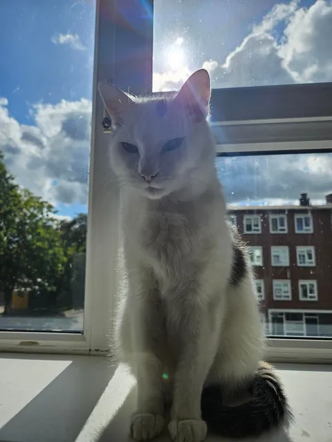 Please look at my little angel (alive)