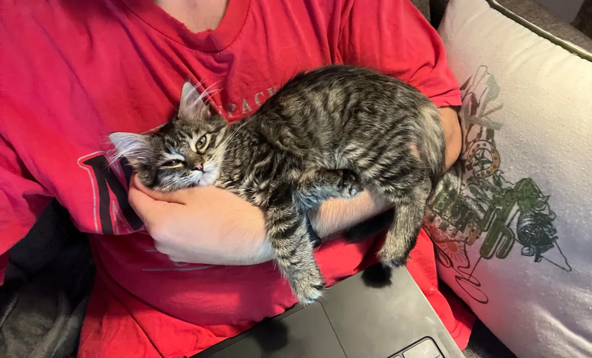 Every time I sit down he insists on taking his naps in my arm