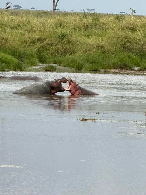 2 weeks of a dream in Tanzania