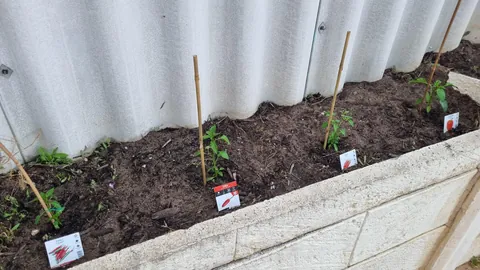 How it started vs how it's going