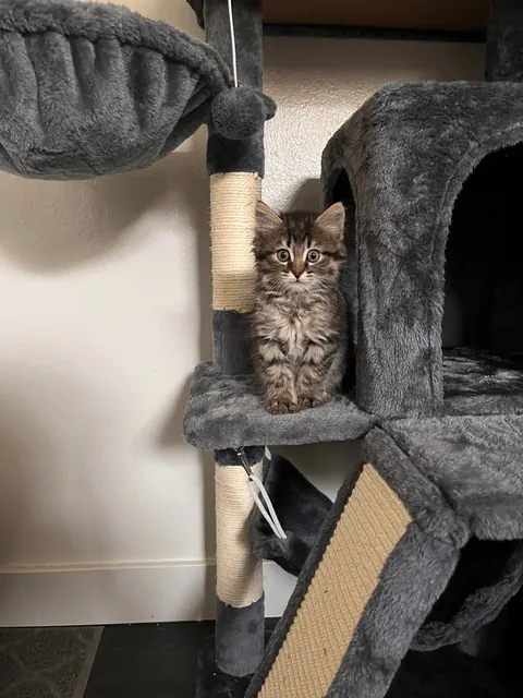 SAY HAPPY BIRTHDAY PLEASE