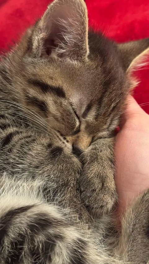 A memory from when I was a baby