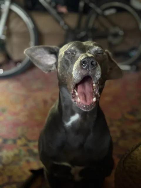 My momma says that I’m the babiest of all the baby boys.