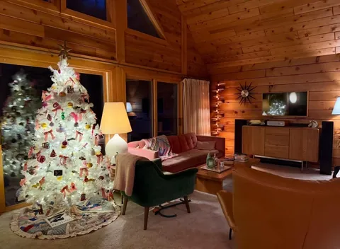 Over here just trying to keep my cats out of the tree. 🌲