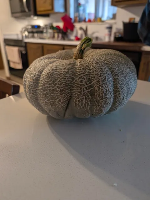 This pumpkin we found in our garden