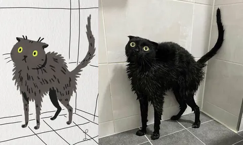 Upload a photo of your cat and I'll draw it with love and tenderness!