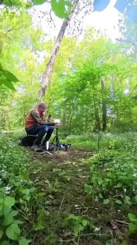 That's Nuts, woodpecker probably