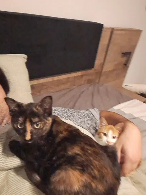 6 months since I got these fluff balls