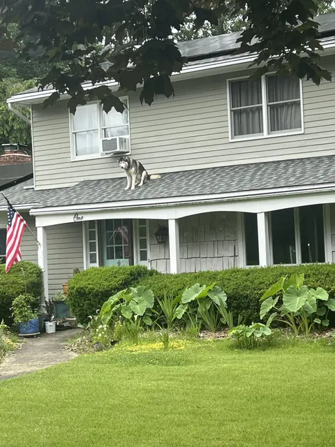 Well, this is my life now