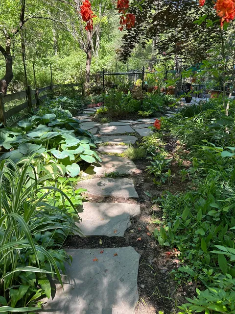 Progress March 3 to May 10