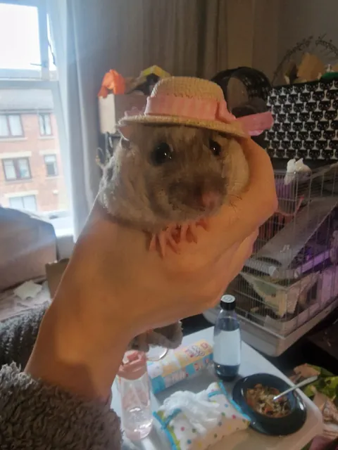 Summer is here
