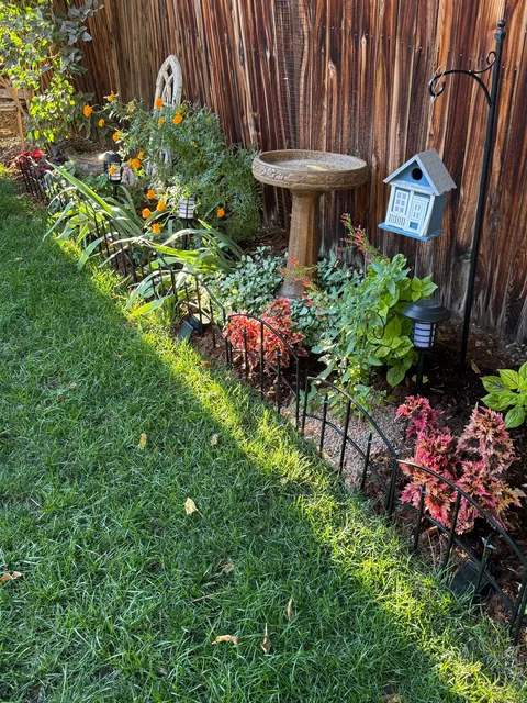 My 2nd year gardening, and I’m proud to share ‘em!