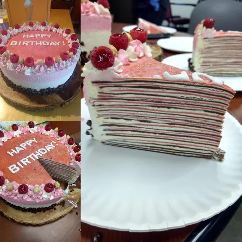 [HOMEMADE] Mille crepe cake with 27 layers of raspberry and chocolate crepes filled with vanilla pastry cream