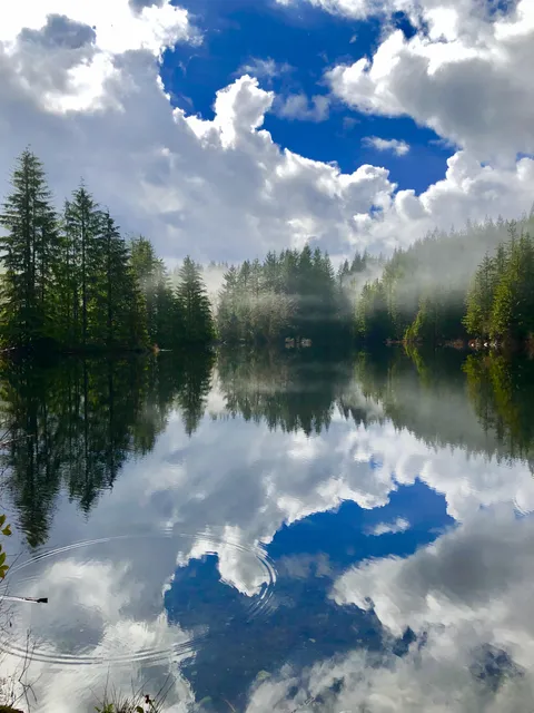 What would you give this photo out of 10? (My own original photo) 