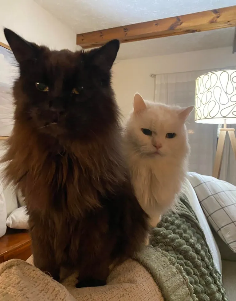 My Void with his Cloud 