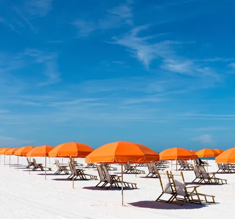 ITAP of some Florida Oranges