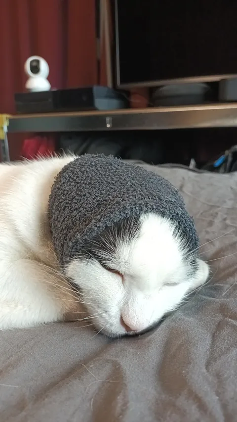 Am I safe sleeping tonight, or is she plotting revenge?