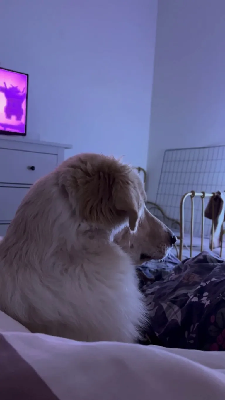 My best friend❤️🐶