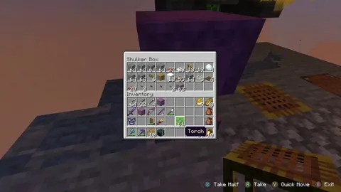 Encountered an inter-dimensional being whilst AFK-ing my creeper farm