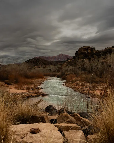 Virgin River outside Zion National Park, Utah [2400x3000] [OC]