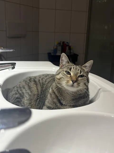 good night from ruby