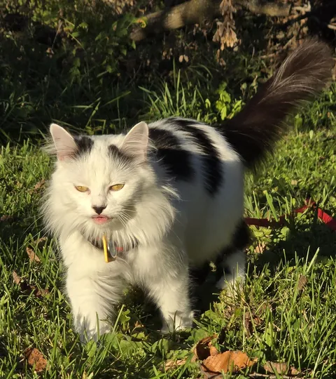 This poorly timed photo I took😫