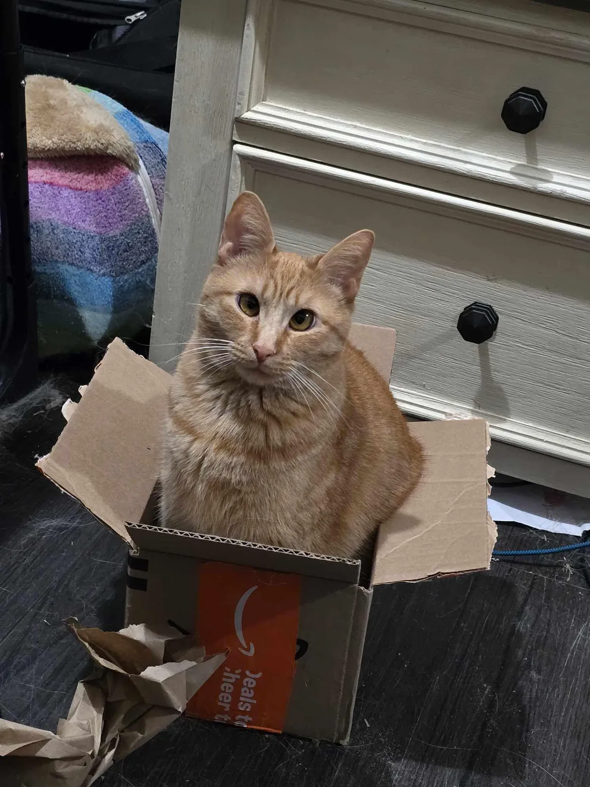 She's the best thing in this world