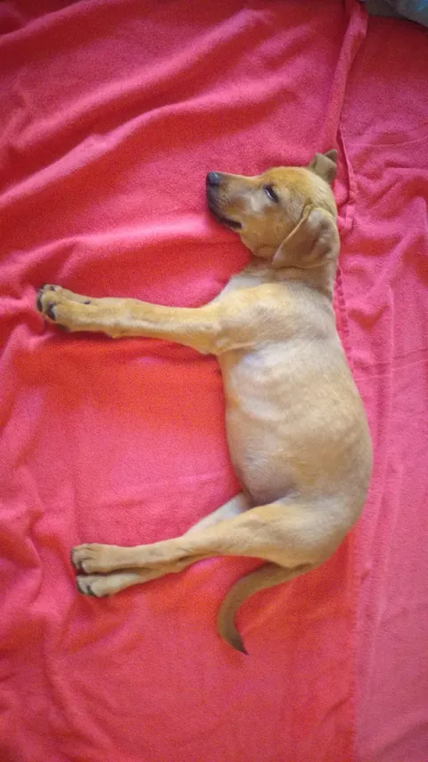 4 year difference, hasn’t changed a bit❤️