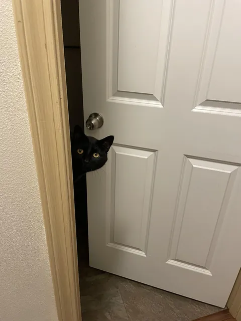 Nothing’s going on in here…move along…