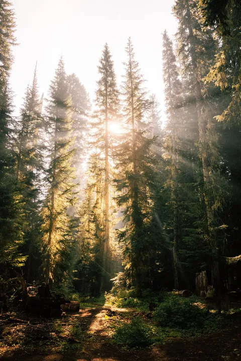 I hiked 2650 miles from Mexico to Canada on the Pacific Crest Trail