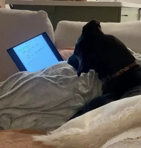 My dog accidentally pressed play on my Organic Chem lecture