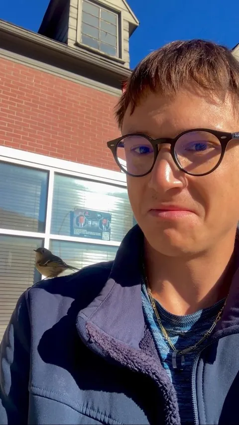 Saved a bird in shock on the sidewalk from being stepped on (first pic is just before I released it!)