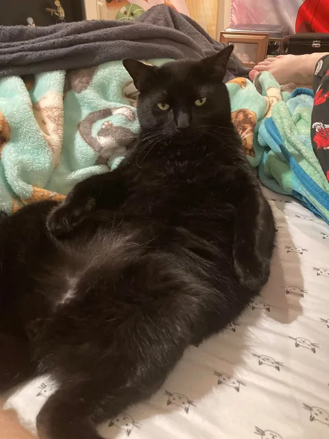 It’s taken me a while to make this post, but here is my sweet man Benjamin <3