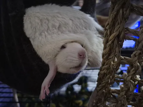 Provide your own caption, words fail me.