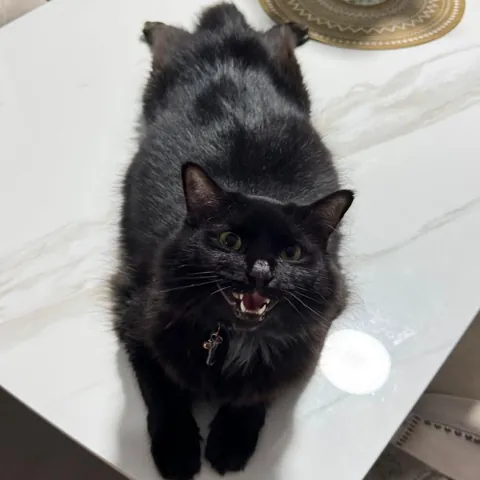 Why does he sit like that? 😂