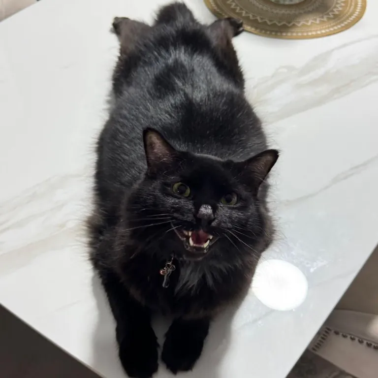 Why does he sit like that? 😂