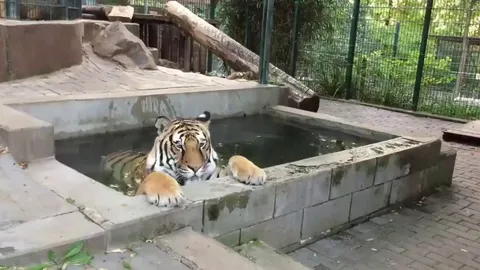 When you’re tryin’ to chill but your siblings love annoying you.