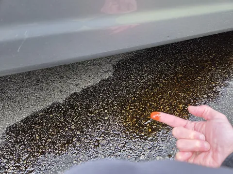 Got my oil changed yesterday, came out to a puddle of oil in my driveway this morning.