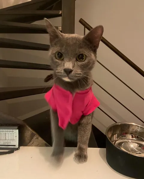 Meet Grace, Don’t get fooled by her cuteness she’s pure evil