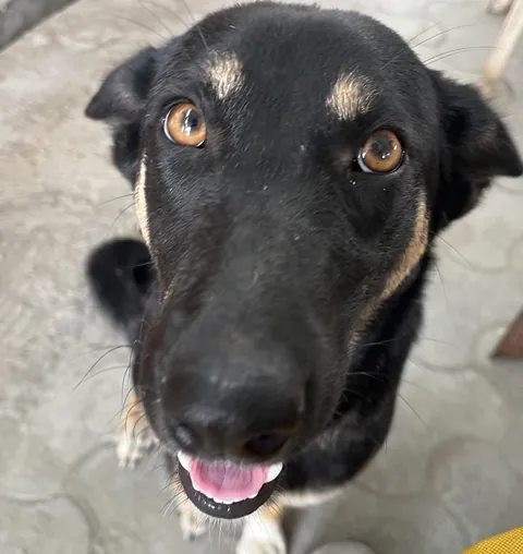 Was conducting some interviews today and this pretty girl showed up. 10/10 got the job.