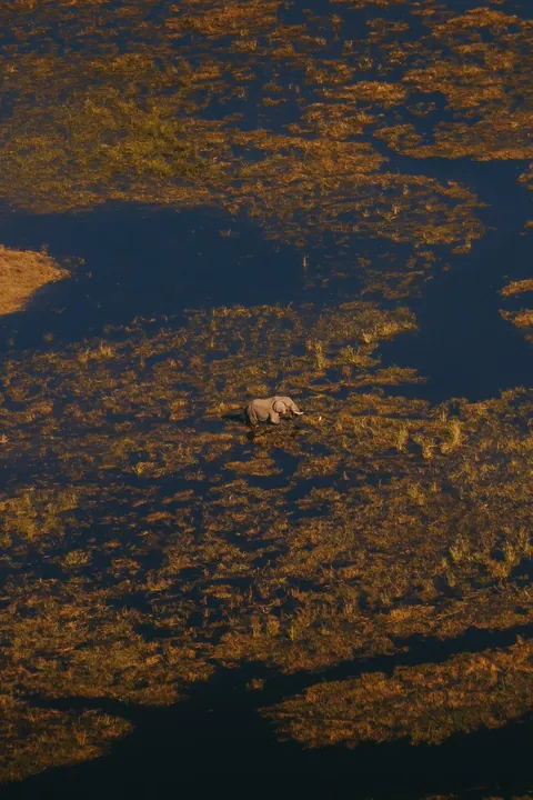 Took a scenic flight over the Okavango Delta in Botswana