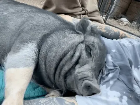 You can tell from the smile that she is very happy with the snuggles