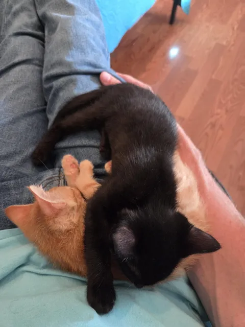 Help, lost feeling in my arm 15 minutes ago...using left hand...