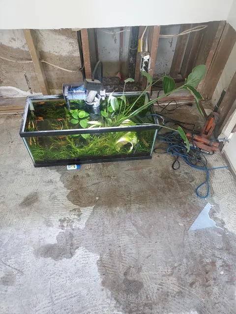 Asked flood damage guys to please not touch my fishtank and to tell me when and where they wanted it moved. Guess what they did instead