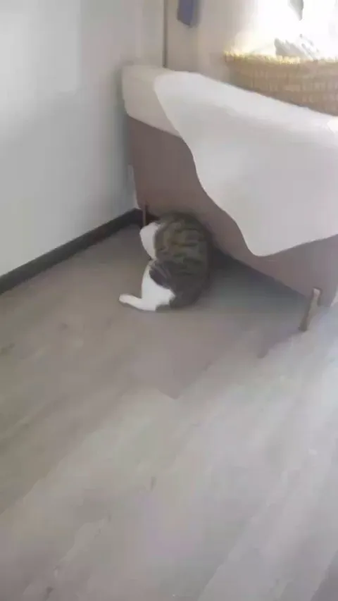 Master hunter at work