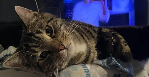 When you really don’t care that you aren’t supposed to have your brother in a choke hold.