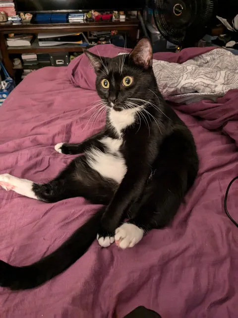 Just rediscovered this goofy picture of my baby girl